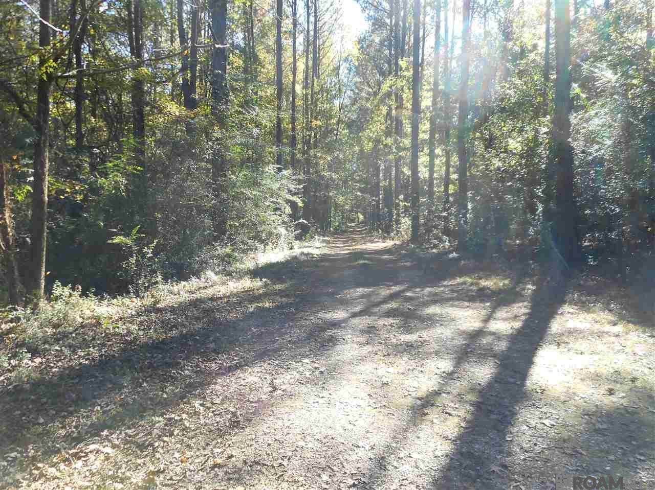 7430 Lane Rd - Photo 1