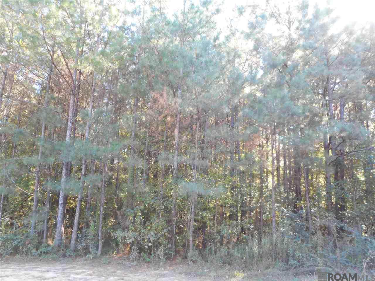 https://bt-photos.global.ssl.fastly.net/batonrouge/orig_boomver_1_2026009036-2.jpg