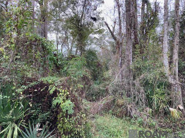 Lot 13 Lucien St - Photo 1
