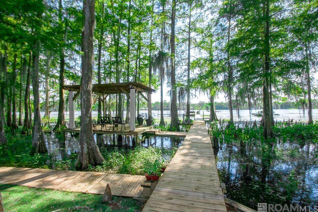 823 Belle River Rd - Photo 1