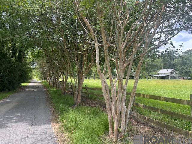 https://bt-photos.global.ssl.fastly.net/batonrouge/orig_boomver_1_2026011448-2.jpg