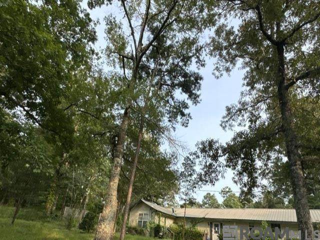 32 Tyrone Johnson Lane - Photo 1