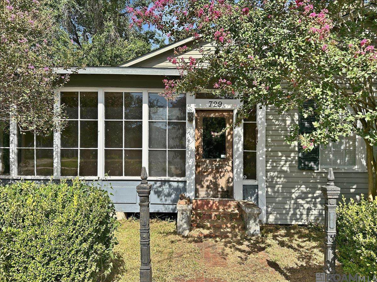 729 Royal St - Photo 1