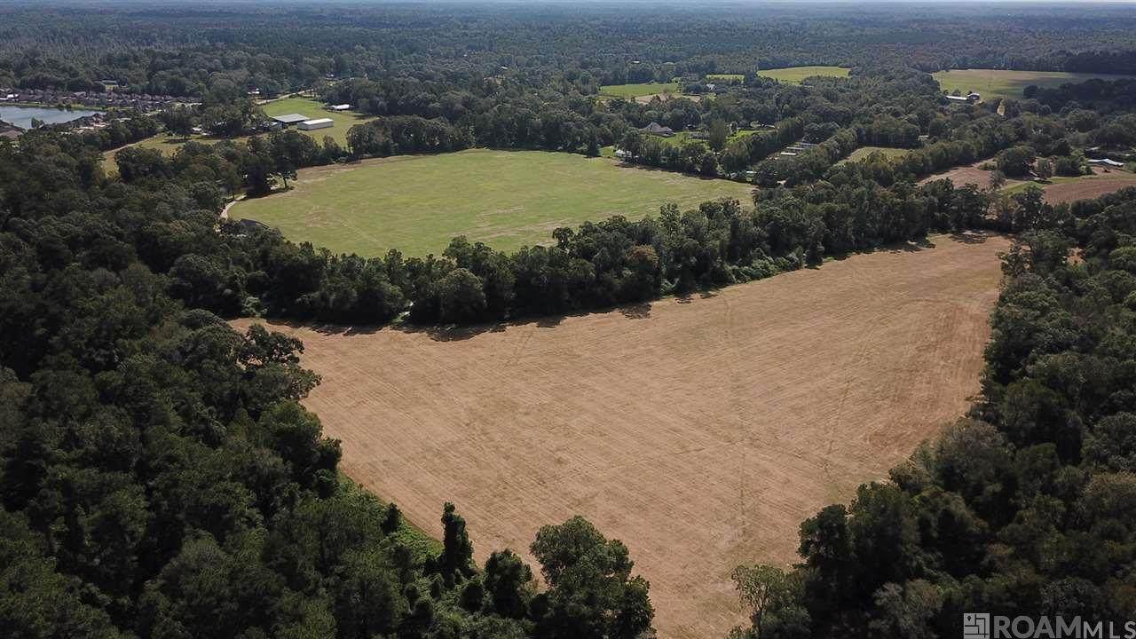 22835 La Hwy 16 - Photo 1