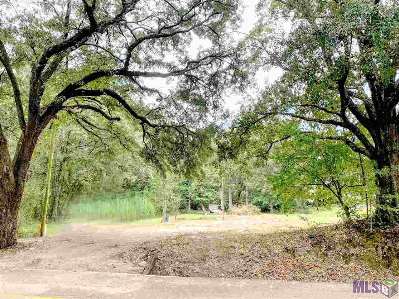 17025 Swamp Rd - Photo 1