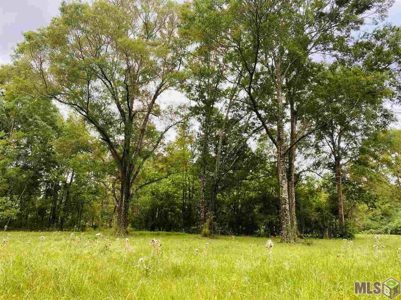 15184 Springfield Rd - Photo 1 15184 Springfield Rd - Photo 1
