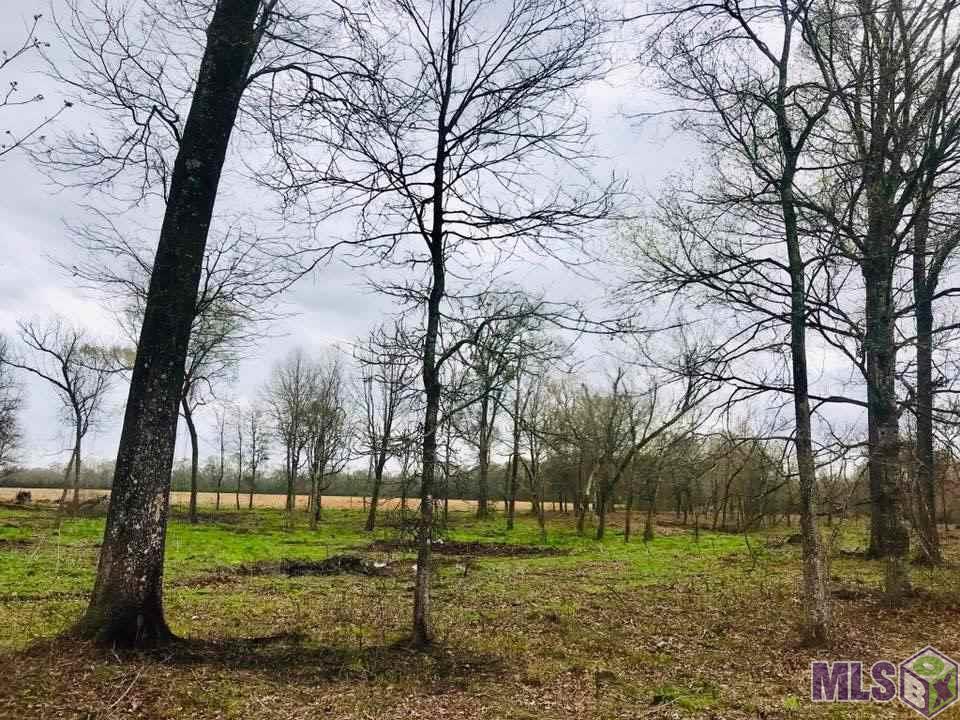 tbd-8 La Hwy 68 - Photo 1