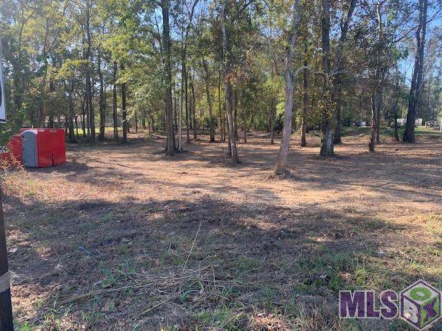TBD Tiger Bend Rd - Photo 1