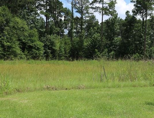 Lot 17 Suma Lake Dr - Photo 1