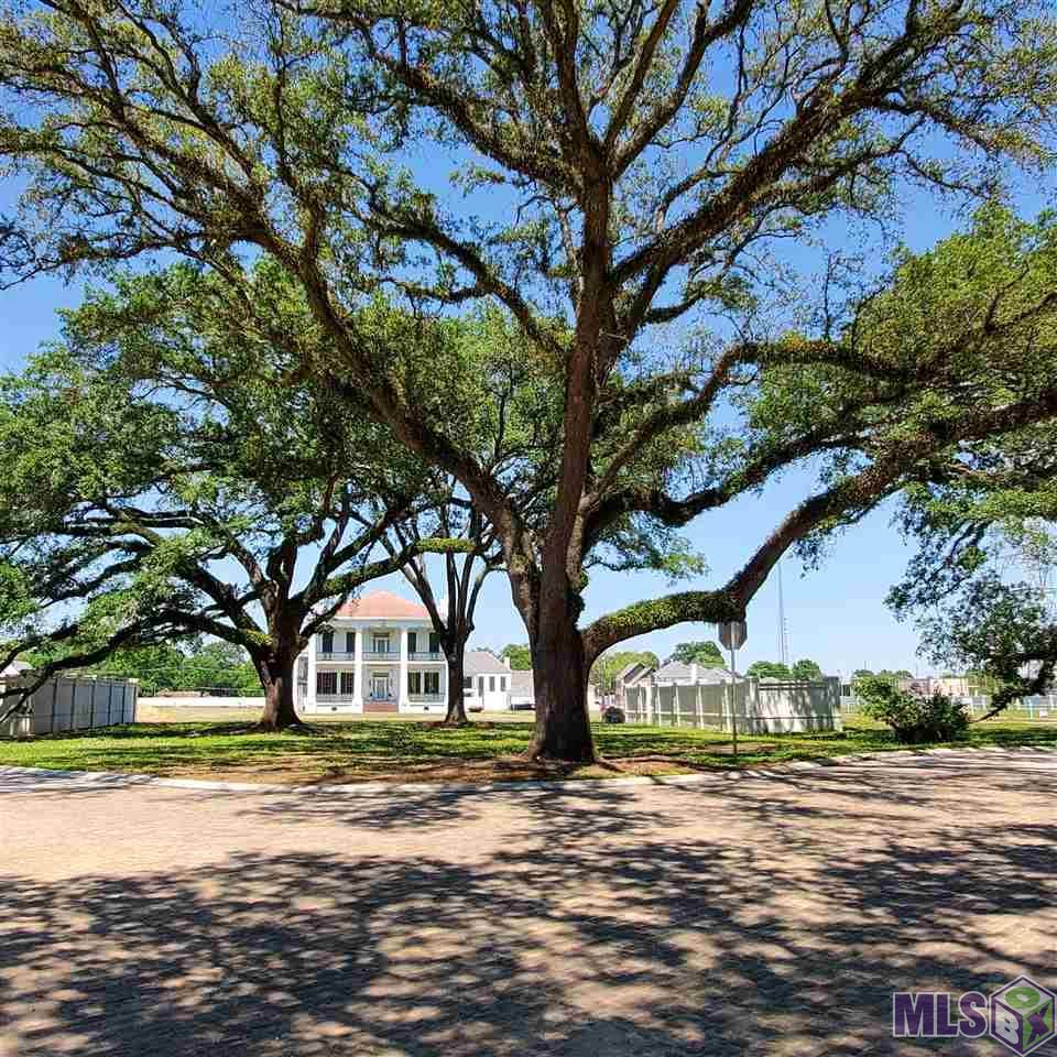 621 Goodridge Way - Photo 1