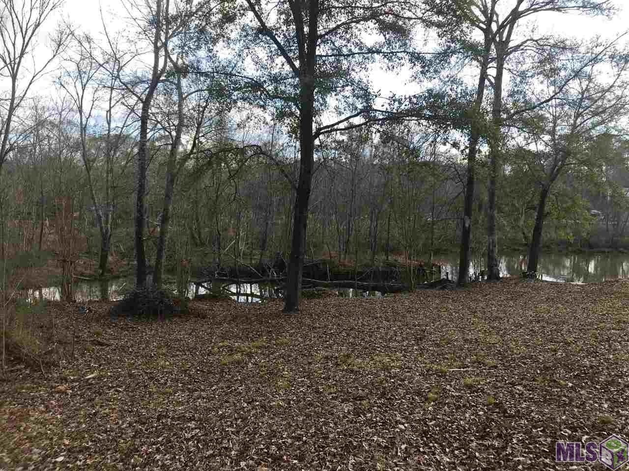 TBD Lake Rosemound Rd - Photo 1