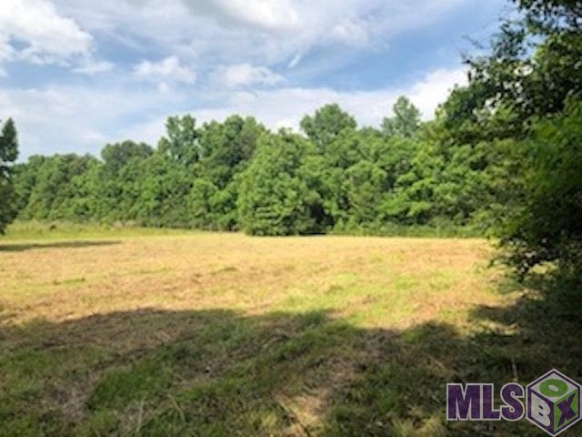 9910 Munson Dr - Photo 1