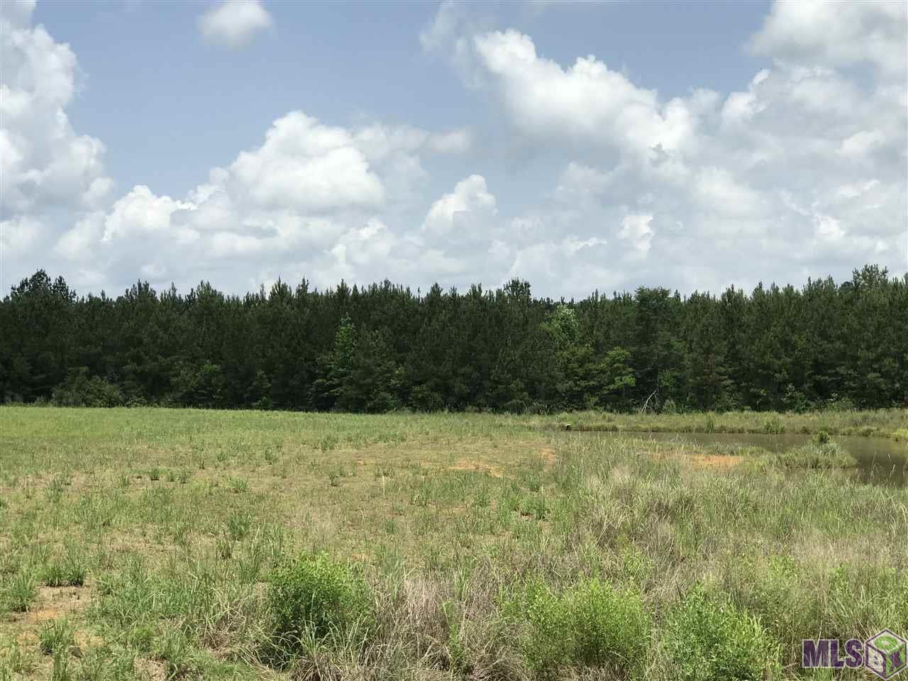 17989 Mahoney Rd - Photo 1