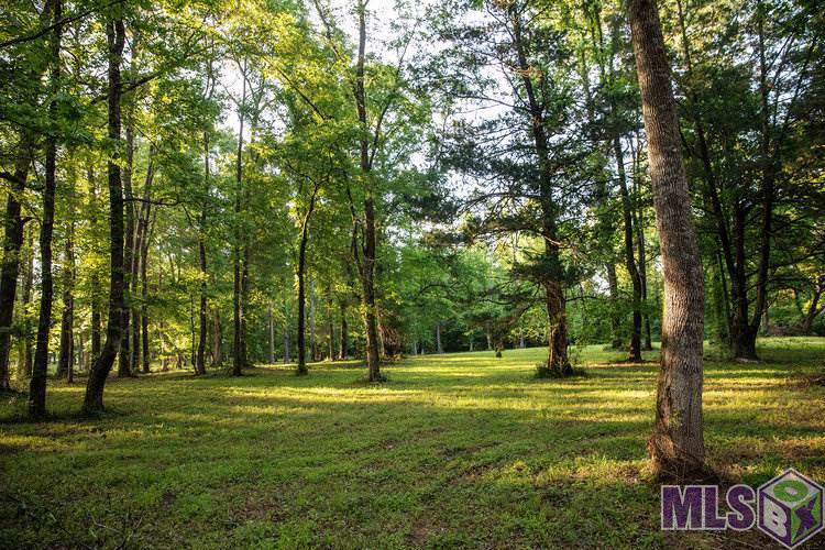 103 Longleaf Ln - Photo 1