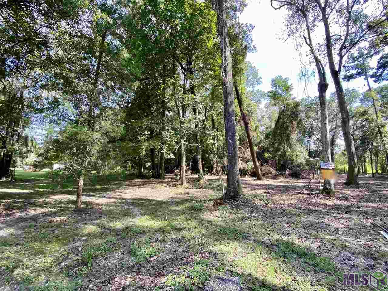 Lot 1-A-7 Bill Morgan Rd - Photo 1