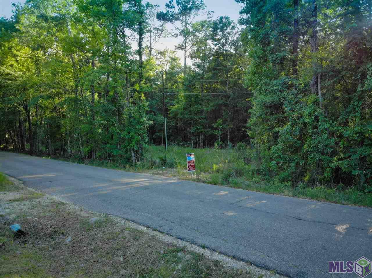 35167 Perkins Rd - Photo 1 35167 Perkins Rd - Photo 1