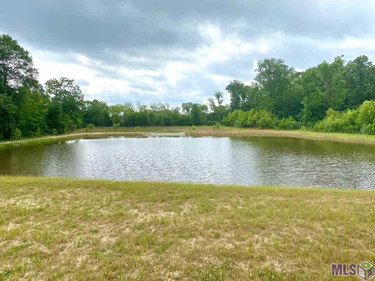 7109 Kimble Pond Ct - Photo 1