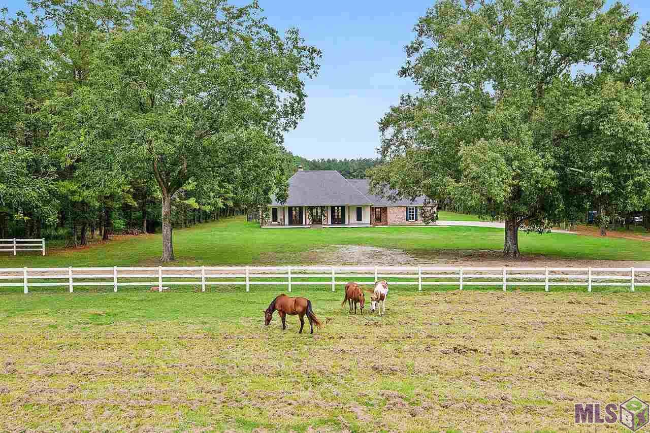 596 Irene Rd - Photo 1