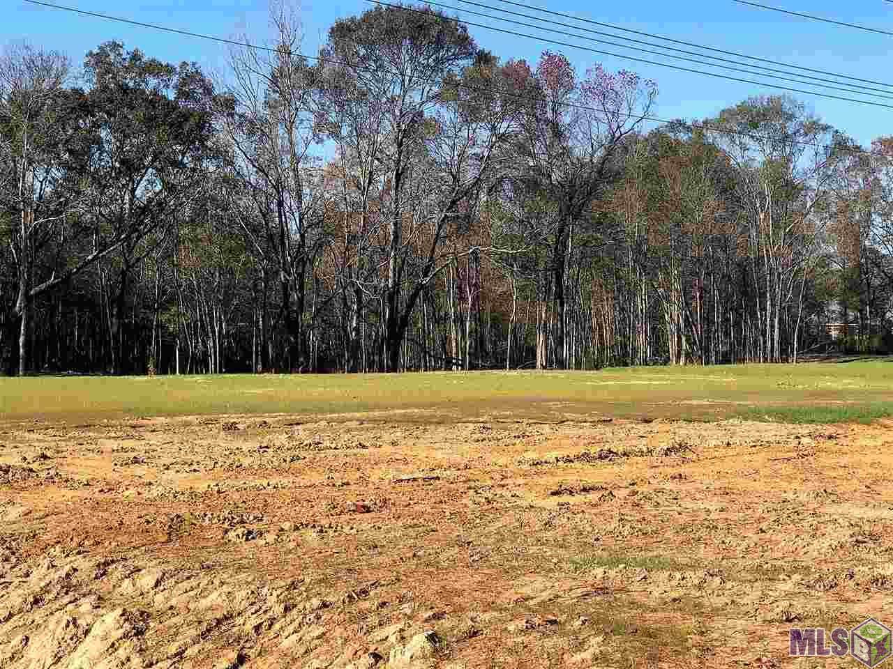Tract C Juban Rd - Photo 1