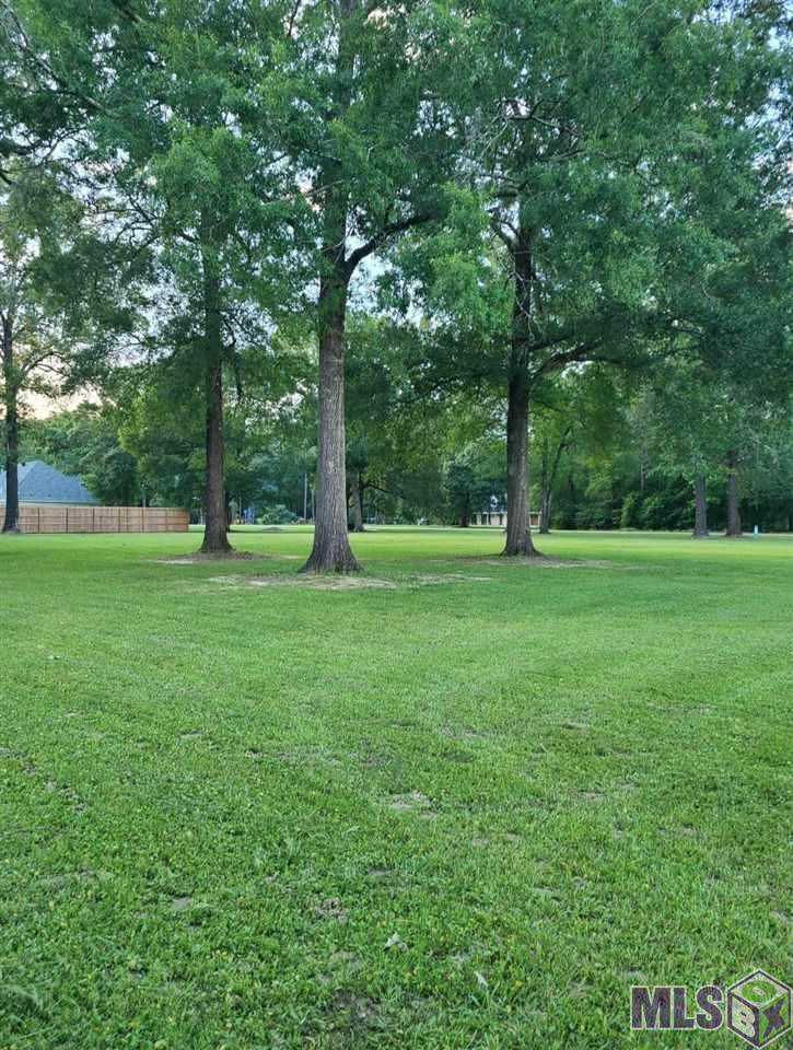 18030 Frenchtown Acres Dr - Photo 1
