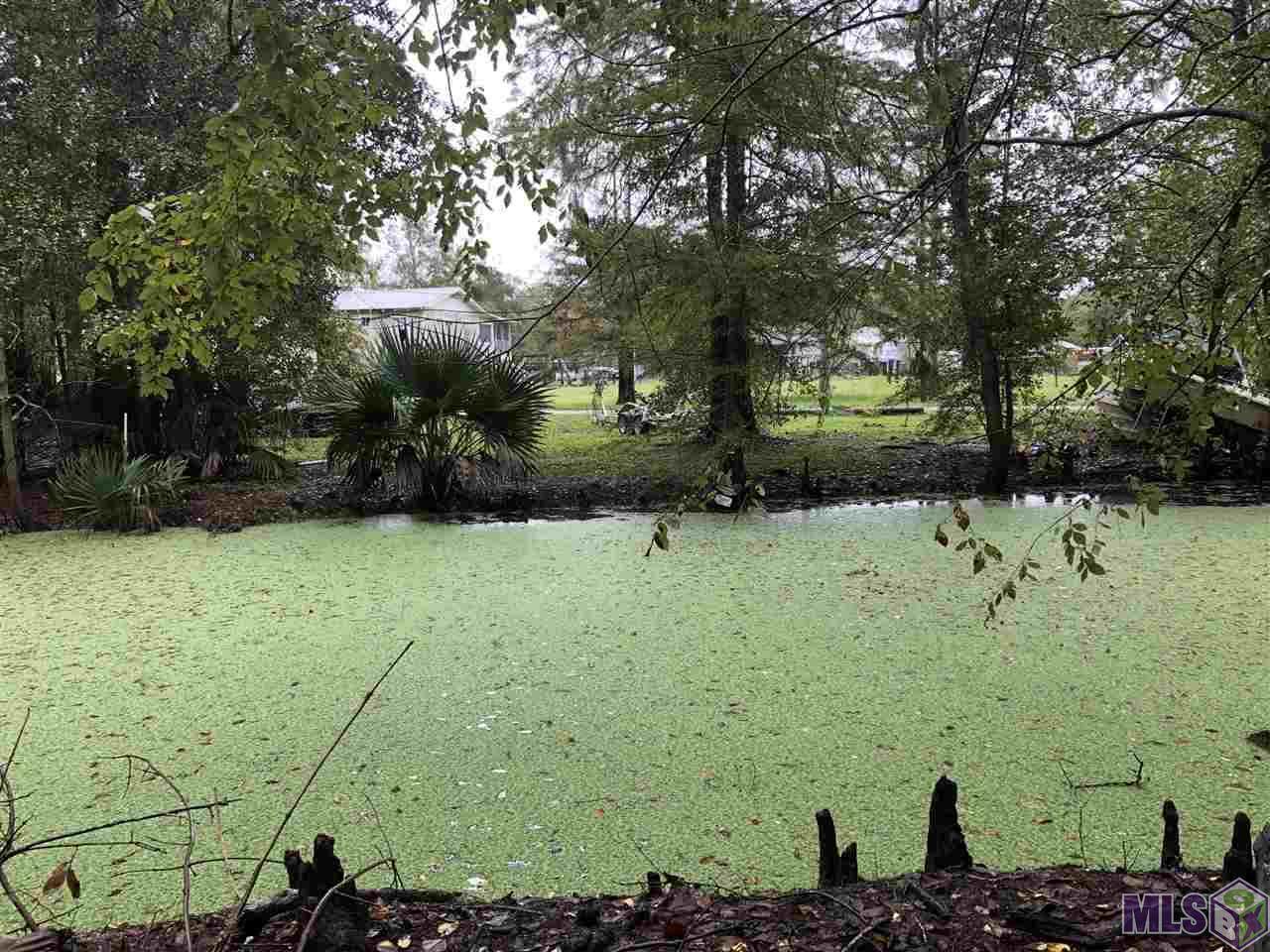 Lot 21 Amite River Rd - Photo 1