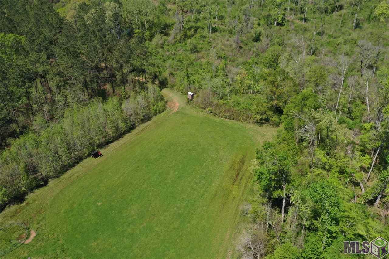 Tract 3 Tunica Trace - Photo 1