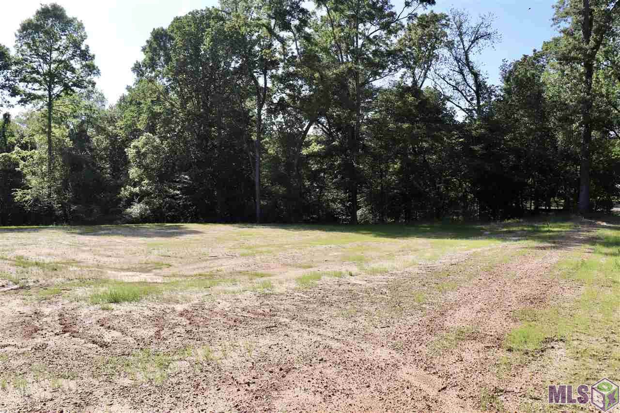 8767 Island Rd - Photo 1