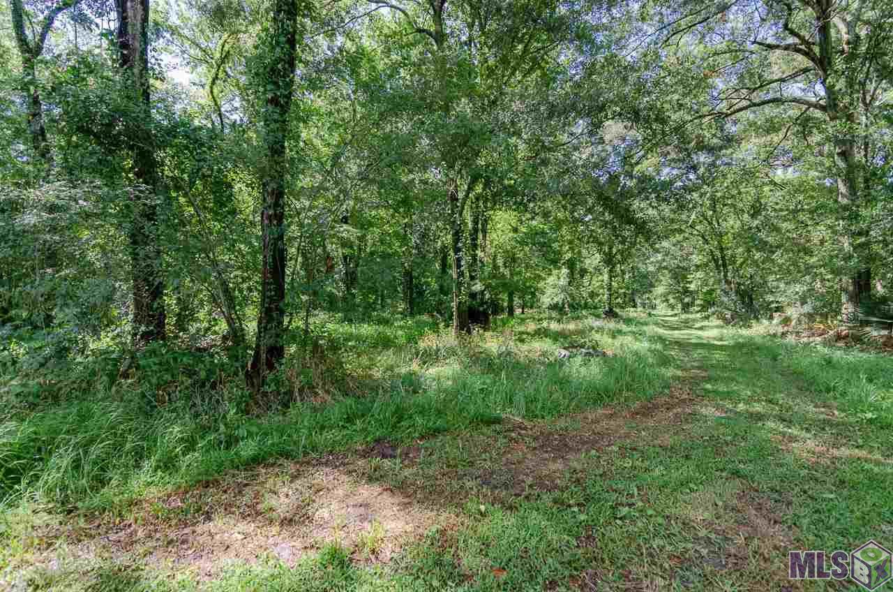 10466 John Savoy Rd - Photo 1