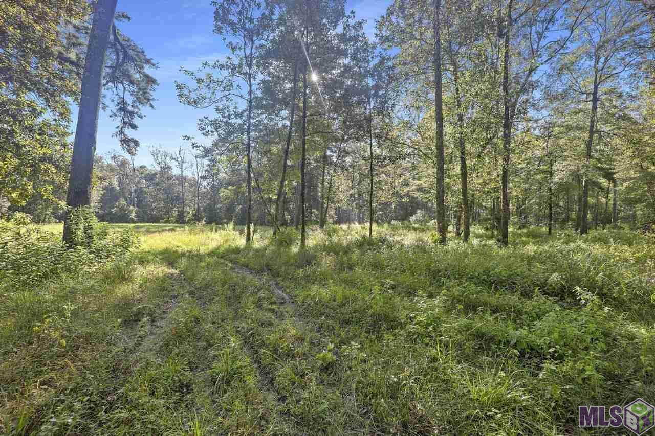Lot C-1-A La Hwy 1032 - Photo 1