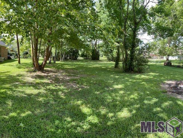 37367 Cypress Alley Ave - Photo 1
