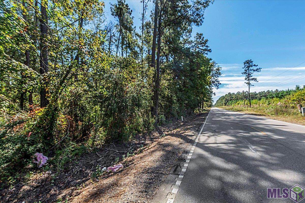80 La Hwy 441 - Photo 1