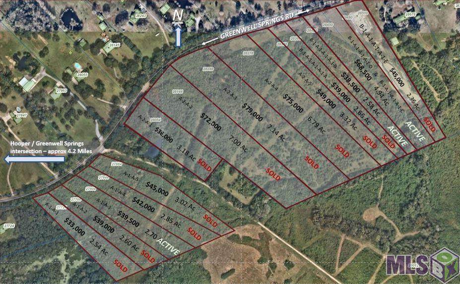 Lot C and D Greenwell Springs Rd - Photo 1