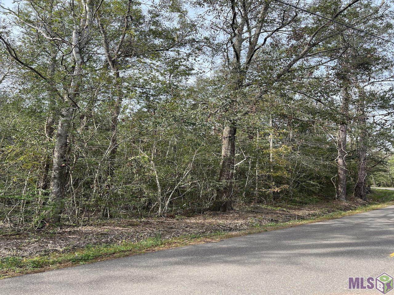 TBD Thibodaux Rd - Photo 1