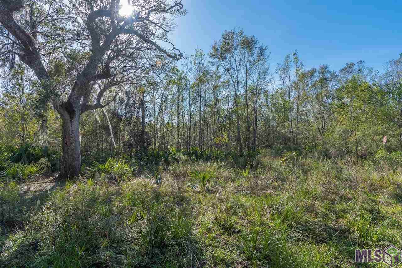 49267 Hwy 22 - Photo 1
