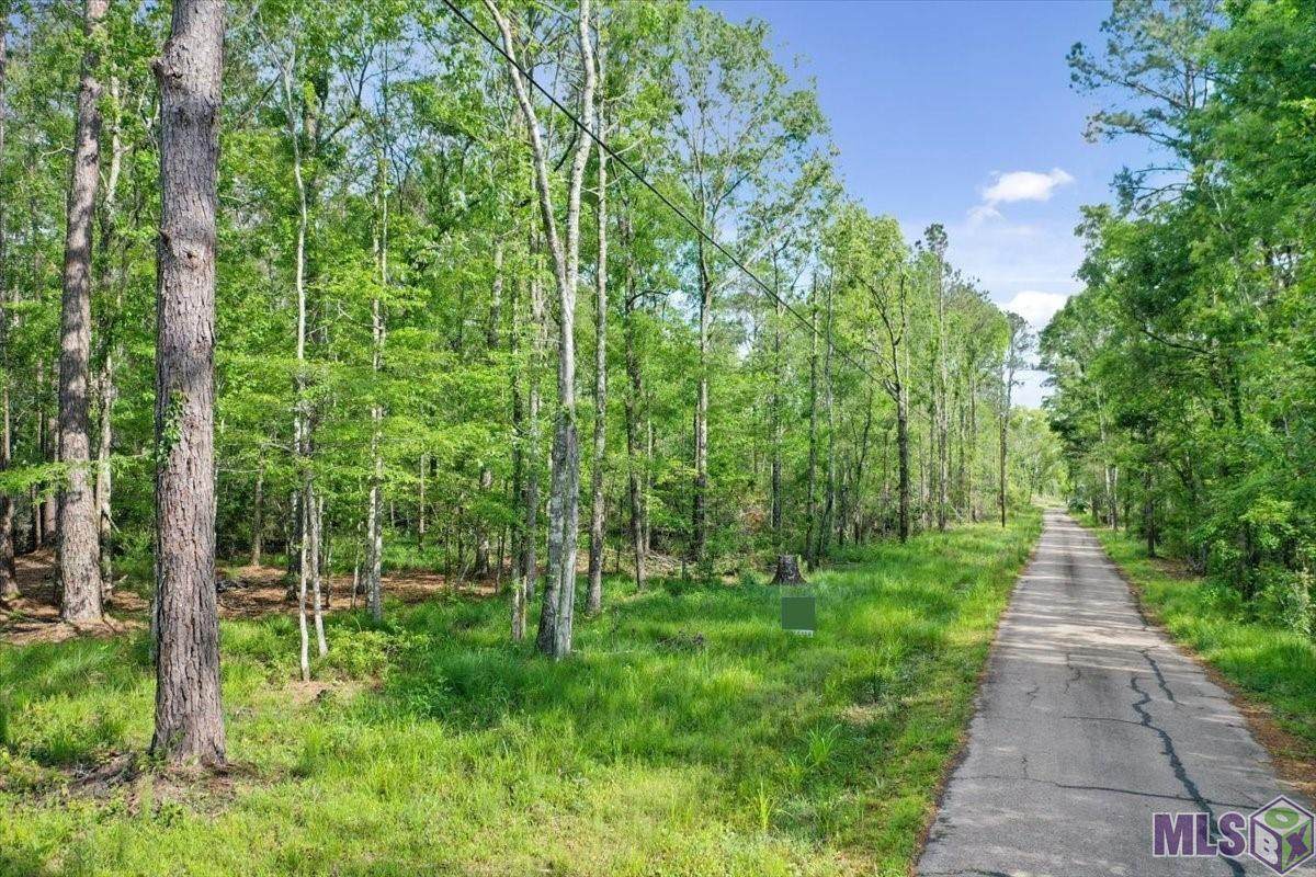 Lot C-2 Abernathy Rd - Photo 1