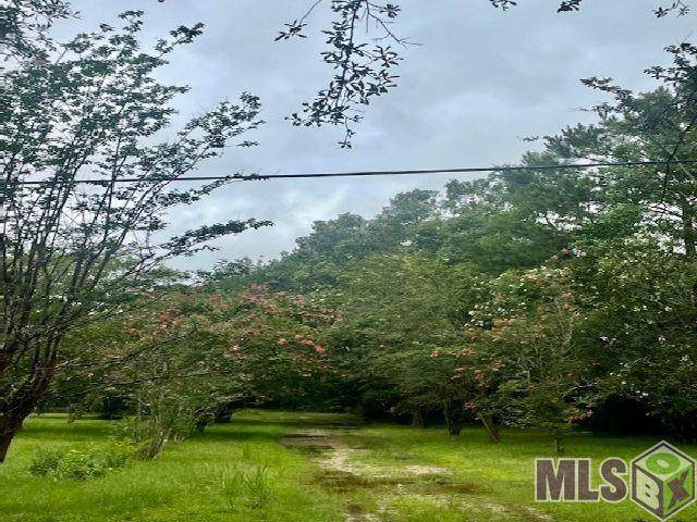 38965 Walker North Rd - Photo 1