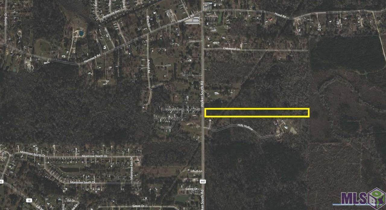 VSJ-4 Walker South Rd - Photo 1