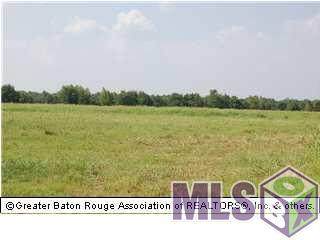 W5 Bayou Tommy Ln - Photo 1