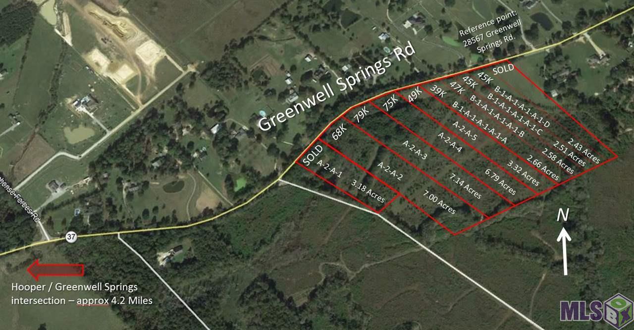 Lot B Greenwell Springs Rd - Photo 1