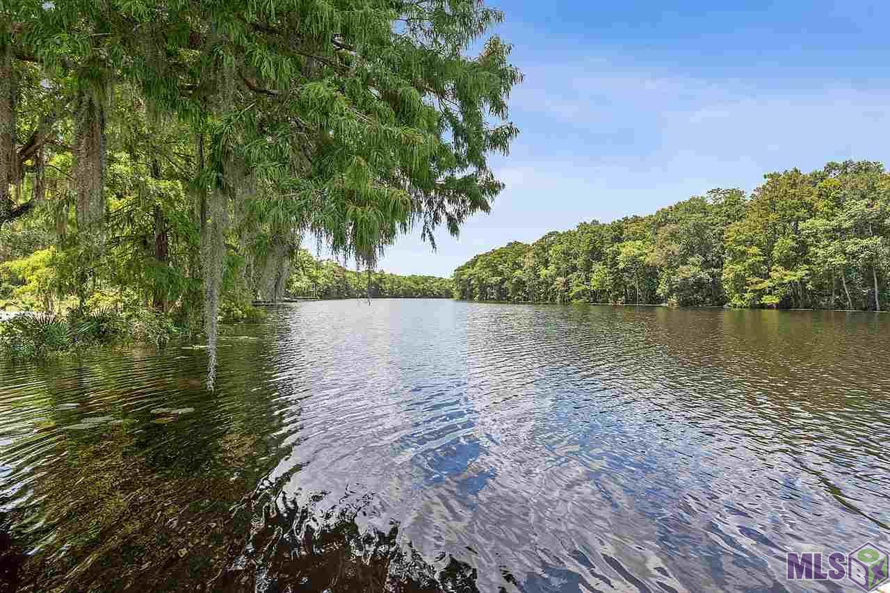 45618 Lake Martin Rd - Photo 1