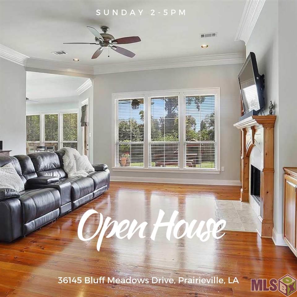 36145 Bluff Meadows Dr - Photo 1