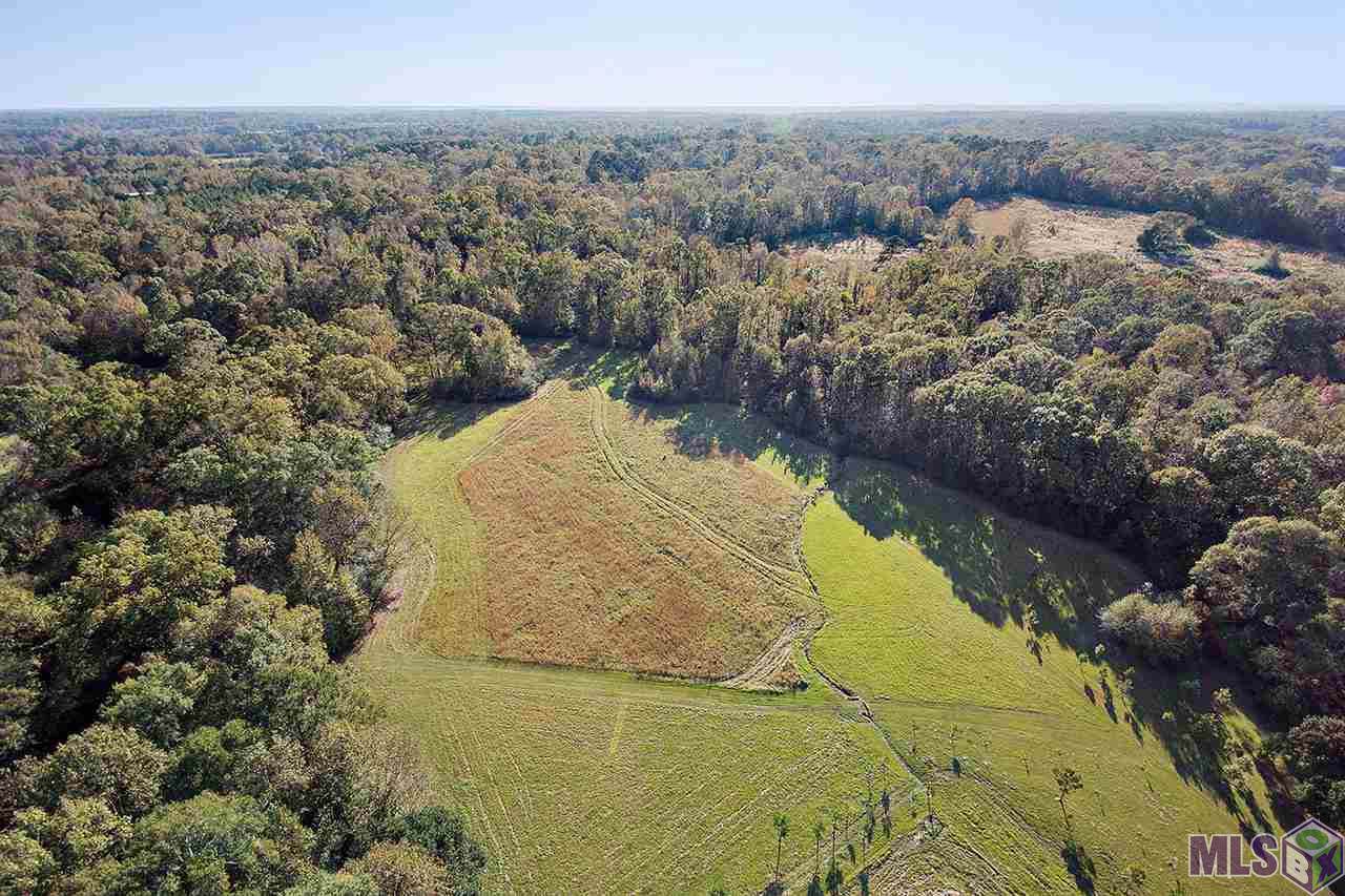 1558 Tommy Whitaker Rd - Photo 1