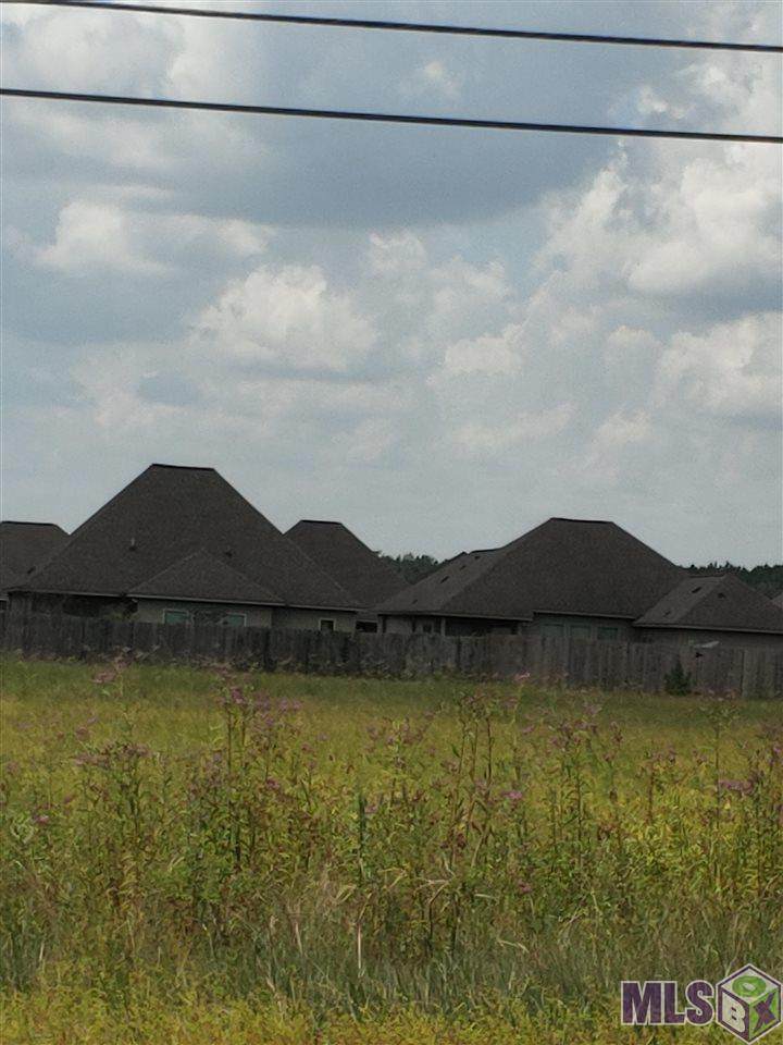 28241 La Hwy 63 - Photo 1