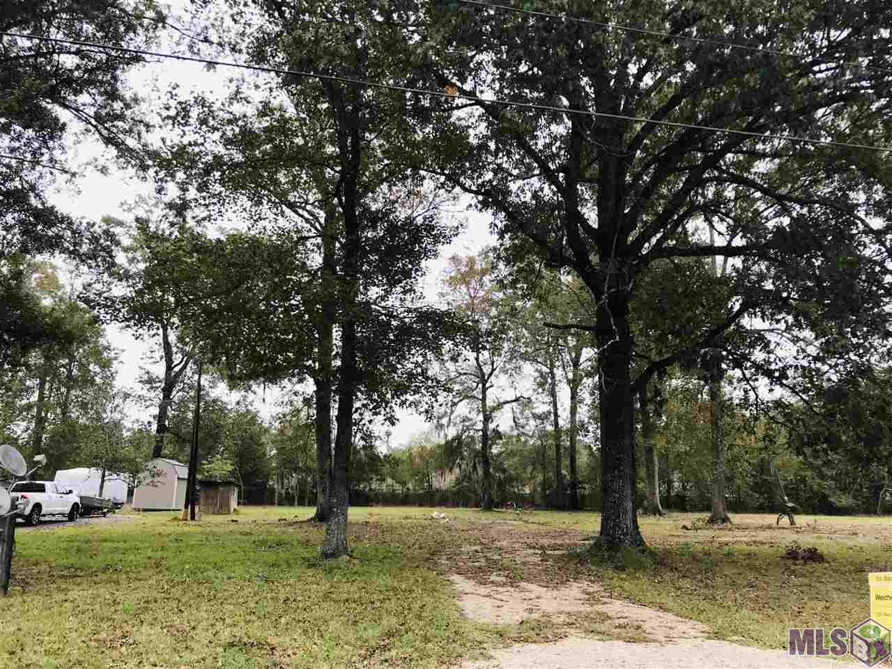 C-1 Bill Morgan Rd - Photo 1