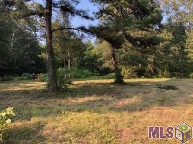 23500 Hills Rd - Photo 1
