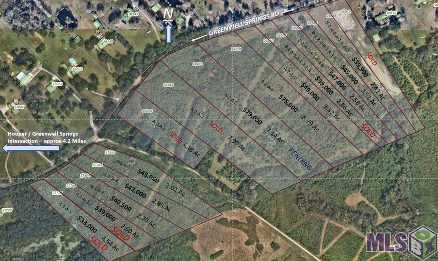 Lot B Greenwell Springs Rd - Photo 1