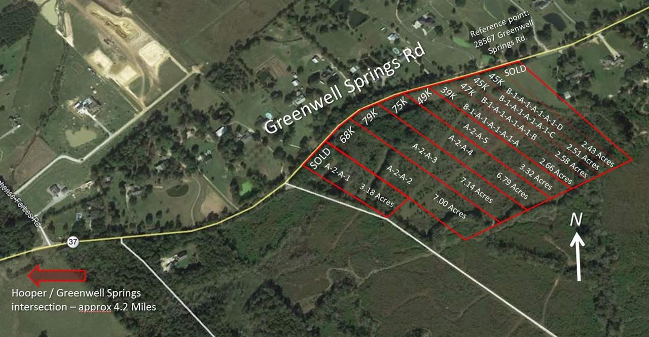 Lot A Greenwell Springs Rd - Photo 1 Lot A Greenwell Springs Rd - Photo 1