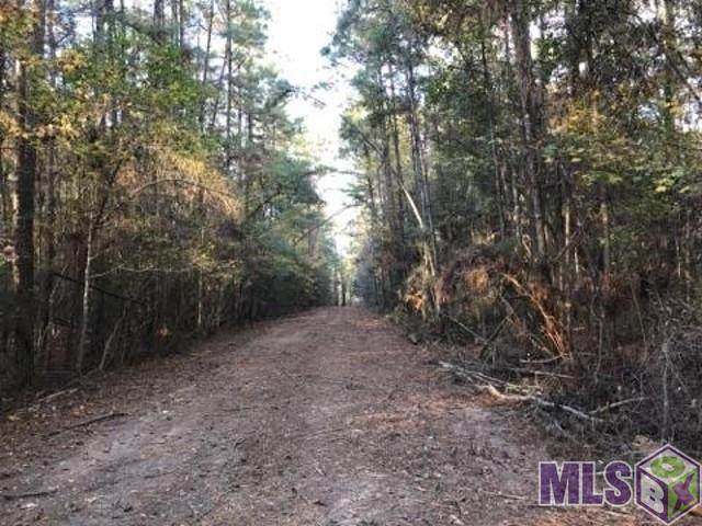 TBD-B Mccarroll Rd - Photo 1