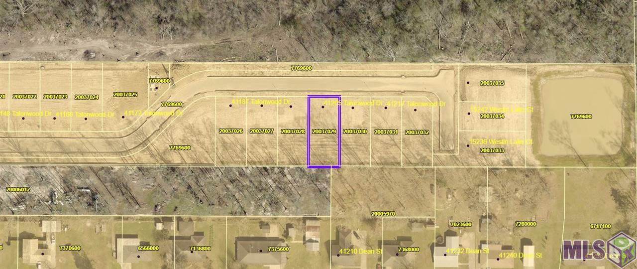 41205 Talonwood Dr - Photo 1