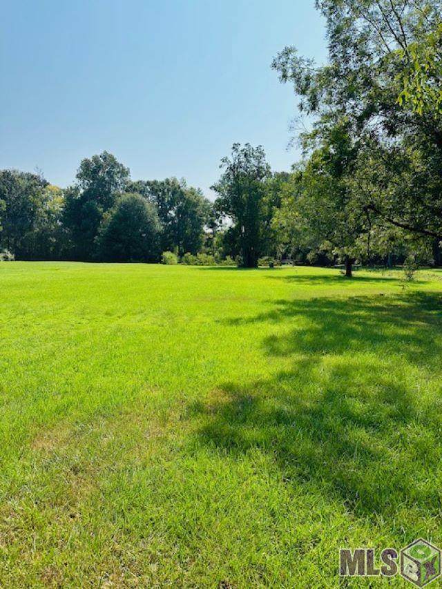 27162 Hagen Dr - Photo 1